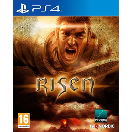 Игра Risen (PS4/PS5)