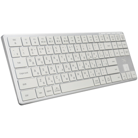 xGhost Blade TKL White Silver