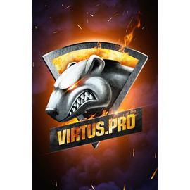 Плакат Virtus.pro