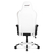 Кресло AKRacing ARCTICA White/Black