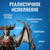 Статуэтка Blizzard Diablo Lilith Статуэтка Blizzard Diablo Lilith