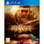 Игра Risen (PS4/PS5)