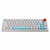 Epomaker TH66 Pro White Sushi Budgerigar switch