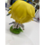 У-Фигурка Genshin Impact Funko POP! Lumine