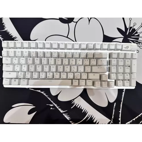 953031