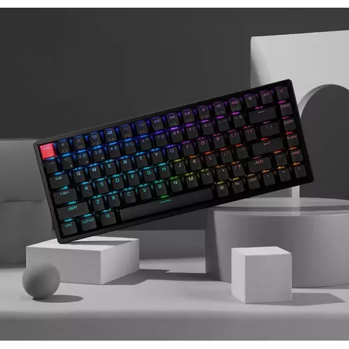 251901