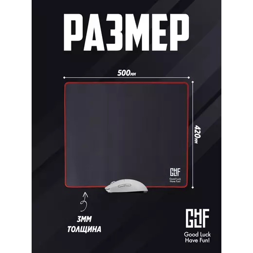 565568