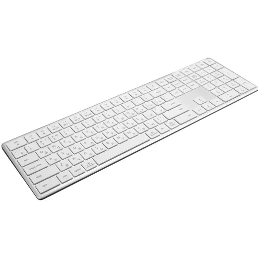 4259