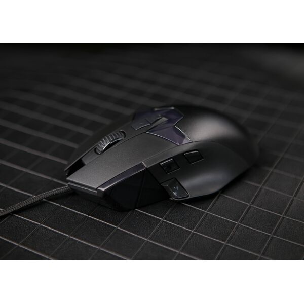 750803