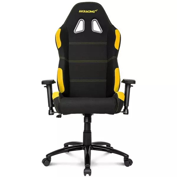 24425