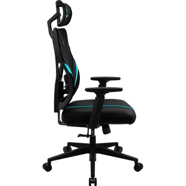 126005