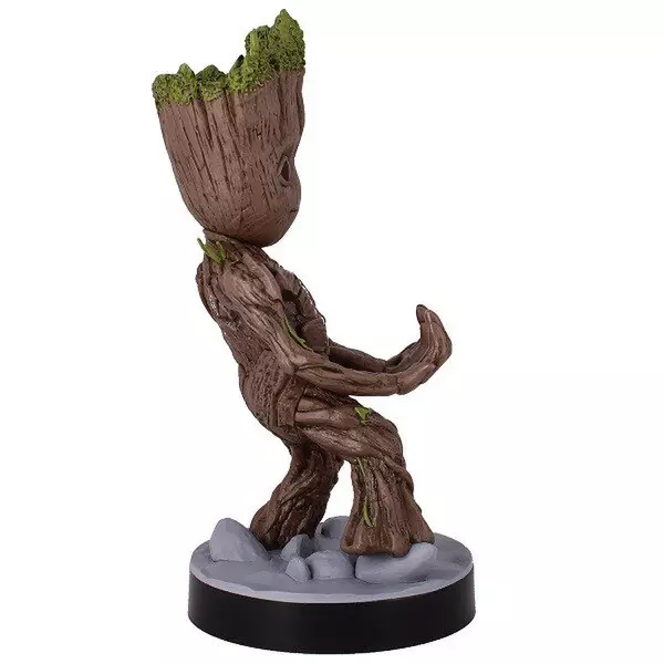 117798