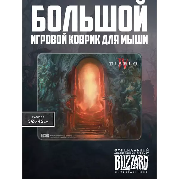298844
