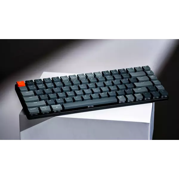 486197