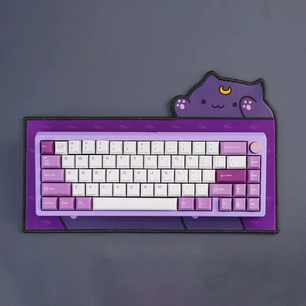 50017
